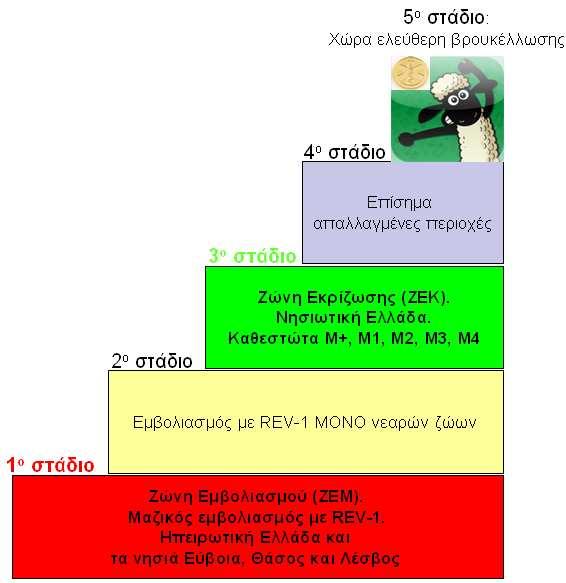 Σε αυτό το στάδιο βρίσκεται η ηπειρωτική Ελλάδα και 3 νησιά της. 2 ο στάδιο: εµβολιασµός ΜΟΝΟ των νεαρών ζώων (αντικατάστασης, ηλικίας 3-6 µηνών).