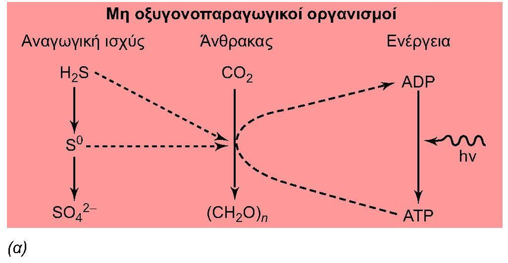 Εικόνα 17.