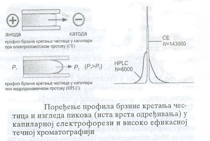 -disperzija (širenje zona razdvajanja) i -elektroosmoze Svi ovi faktori direkno zavise od osobina uzorka ( M, r pk a, strukture, obrazovanja kompleksa), osobina pufera ( ph, viskoznost, aditivi,