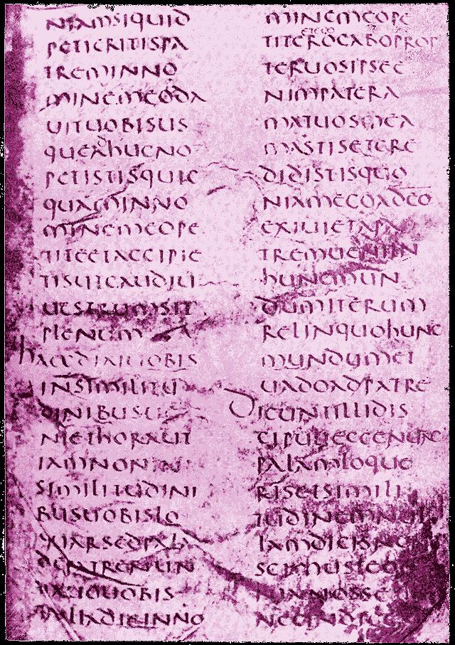 Codex vercellensis (Eusebii) Codice