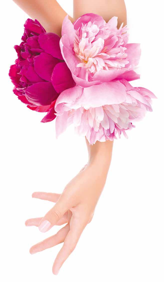 RANKOS Tai ne mitas: Jūsų rankos tai Jūsų vizitinė kortelė. Pasirūpinkite jomis! Rekomenduojame kasdienę odelių priežiūrą ir stiprinančias priemones, kad dažyti nagai atrodytų sveikai ir elegantiškai.