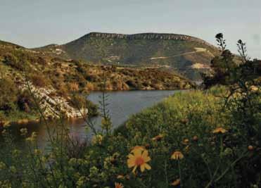 Ο υδατοφράκτης Γερµασόγειας απέχει km από την πόλη της Λεµεσού και εµπλουτίζεται µε νερό από τον ποταµό Άµαθο.