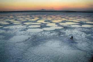 0 / 0 0 0 Αλυκή Λάρνακας ουκανάρης Γιώργος, Salt lake Larnaca Αλυκή Λάρνακας ουκανάρης Γιώργος, Flamingo in the salt lake Larnaca Η αλυκή Λάρνακας