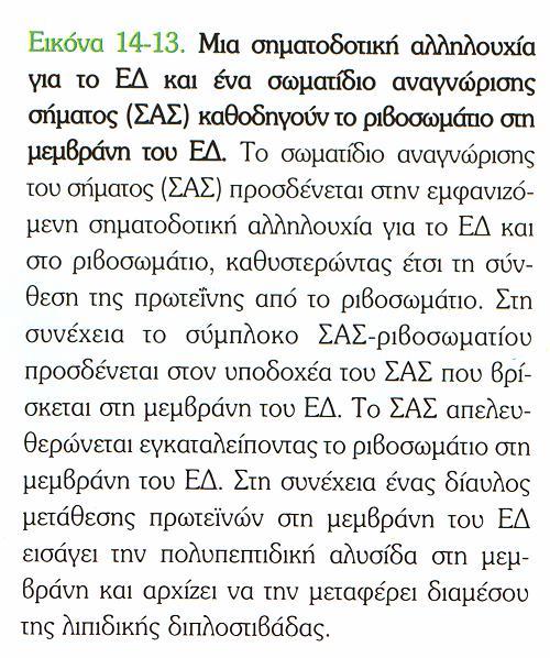 απελευθερώνονται