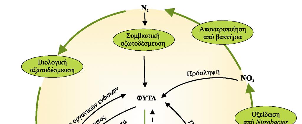 Κύκλος