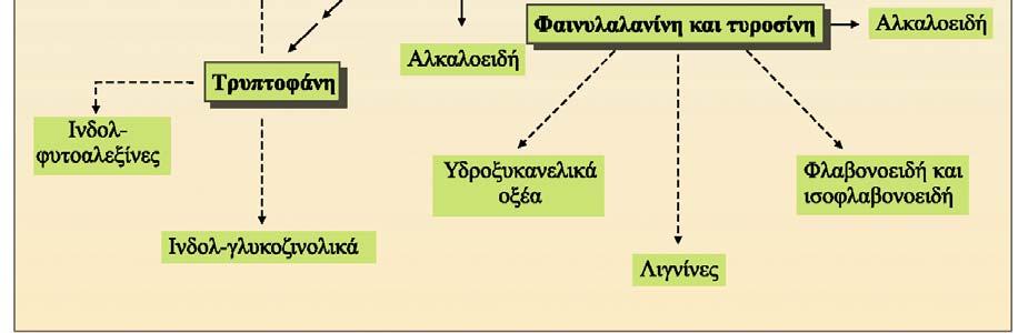 Λευκίνη (V) Βαλίνη (Ε)