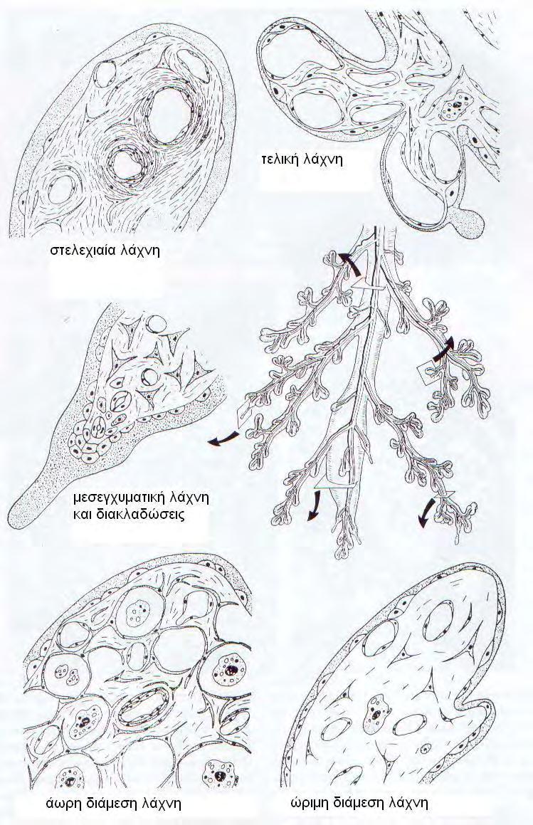 Εικόνα 3.