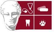 Correlation between caries activity and counts of selected microbes in oral samples from Greek children