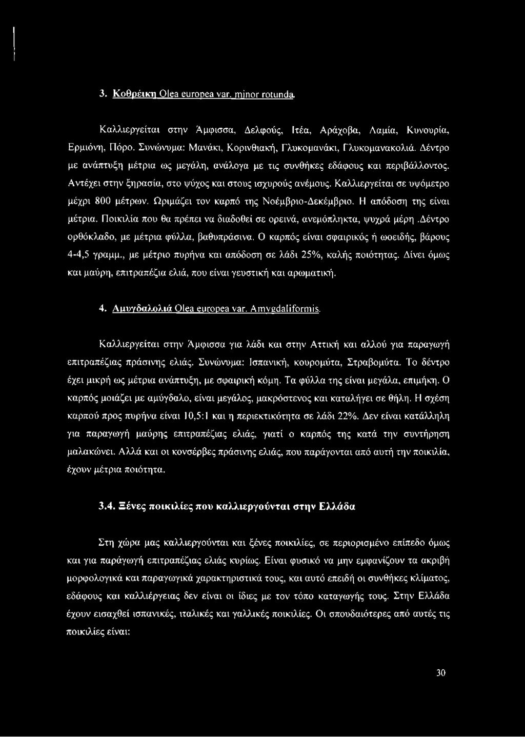 Ωριμάζει τον καρπό της Νοέμβριο-Δεκέμβριο. Η απόδοση της είναι μέτρια. Ποικιλία που θα πρέπει να διαδοθεί σε ορεινά, ανεμόπληκτα, ψυχρά μέρη.δέντρο ορθόκλαδο, με μέτρια φύλλα, βαθυπράσινα.