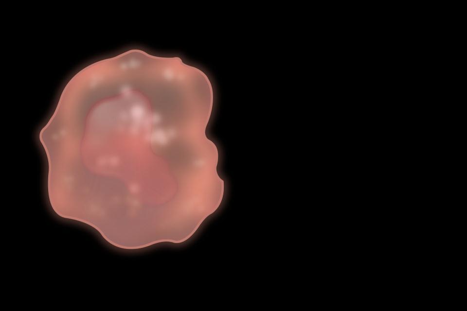 Gabrilovich D, et al. Nat Med. 1996;2:1096-103; Gabrilovich D, et al. Nat Rev Immunol.