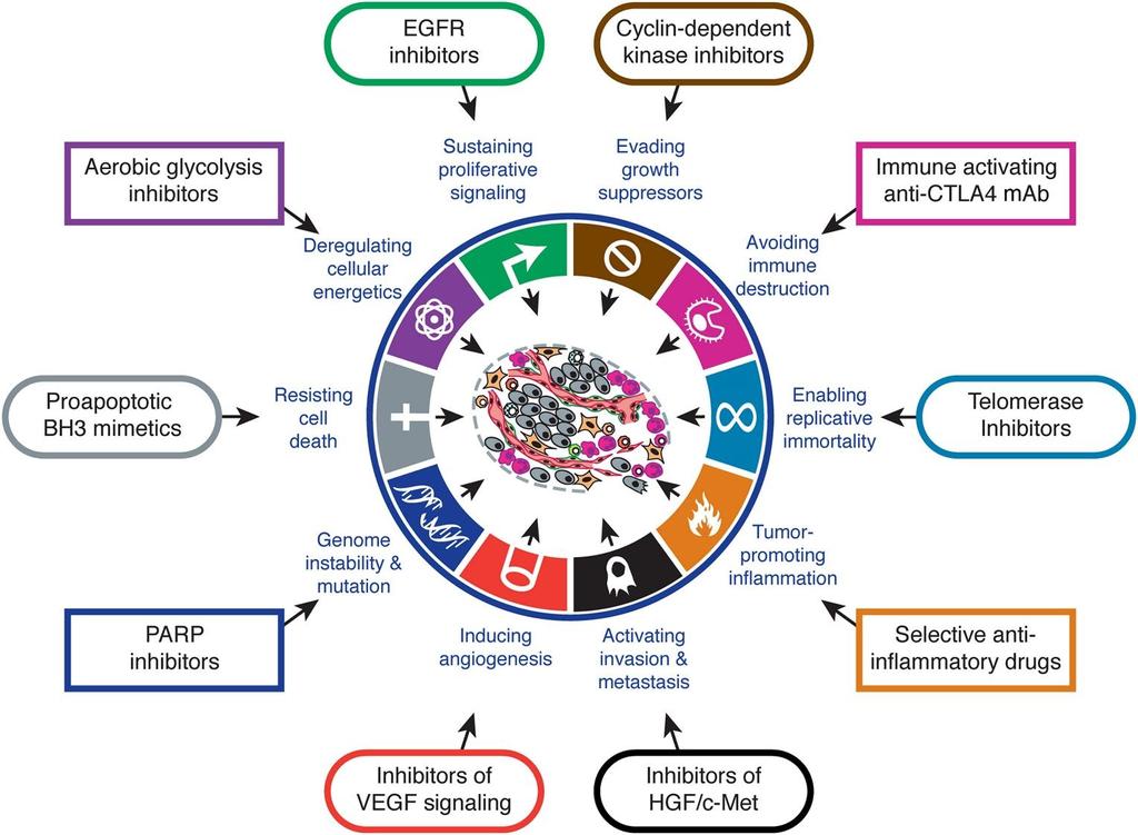 Cell 2011 144, 646-674DOI: