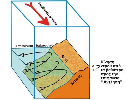 Upwelling σε παράκτιες περιοχές Στις παράκτιες περιοχές το φαινόμενο οφείλεται στη μεταφορά Ekman Παράδειγμα: Αν σε μια παράκτια περιοχή πνέει άνεμος βόρειας συνιστώσας, παράλληλα στην ακτογραμμή και