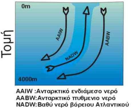 Upwelling σε πολικές περιοχές Μετά το σχηματισμό πάγου δημιουργείται ψυχρό και πυκνό νερό Το νερό