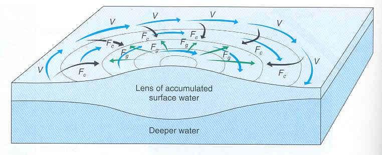 Γεωστροφικά ρεύματα Δημιουργούνται οριζόντιες διαφορές πίεσης του κέντρου προς την περιφέρεια και τείνουν να μετακινηθούν θαλάσσιες μάζες για την αποκατάσταση της ισορροπίας Ταυτόχρονα επιδρά η