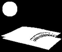 6. Detection of RFLPs via autoradiography The locations of radioactive probe hybridization on the Southern blot are detected by autoradiography.