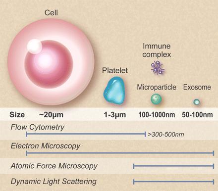 Φυσικές μέθοδοι μελέτης βιολογικών φαινομένων: Ορόλοςτου μεγέθους της βιοδομής που μελετάμε Cells, MPs, and exosomes.