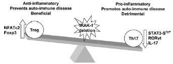 Differential Regulation of