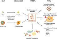 J Lipid