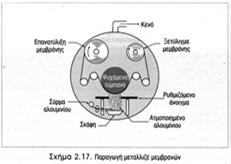 ακαμπτότητας & αντοχής Κατάλληλες μεμβράνες - LDPE, LLDPE, EVA - PP =>