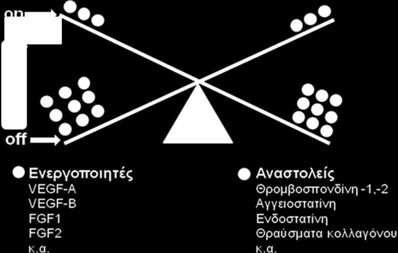 αγγειογενετικού διακόπτη. Τα διαφορά δεδομένα δείχνουν ότι οι αλλαγές στην ισορροπία μεταξύ των επαγωγέων και αναστολέων της αγγειογένεσης μπορεί να ενεργοποιήσουν τον διακόπτη.