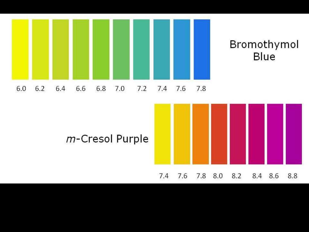 m-cresol purple Bromothymol blue Οδηγό ς χρώµα τ ο ς δ ει κ τ ών Πίνακας RGB των χρωµάτων των δεικτών ph 6.0 6.2 6.4 6.6 6.8 7.0 7.2 7.4 7.6 7.8 8.0 8.2 8.4 8.6 8.