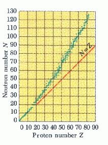 ΦΡΟΝΤΙΣΤΗΡΙΑΚΑ ΜΑΘΗΜΑΤΑ ΦΥΣΙΚΗΣ Π.Φ. ΜΟΙΡΑ 693 946778 Πηγαίνοντας σε Ζ>83 δεν υπάρχουν πια σταθεροί πυρήνες. Στο σχήμα δείχνεται η σχέση αριθμού πρωτονίων και νετρονίων για τους σταθερούς πυρήνες.