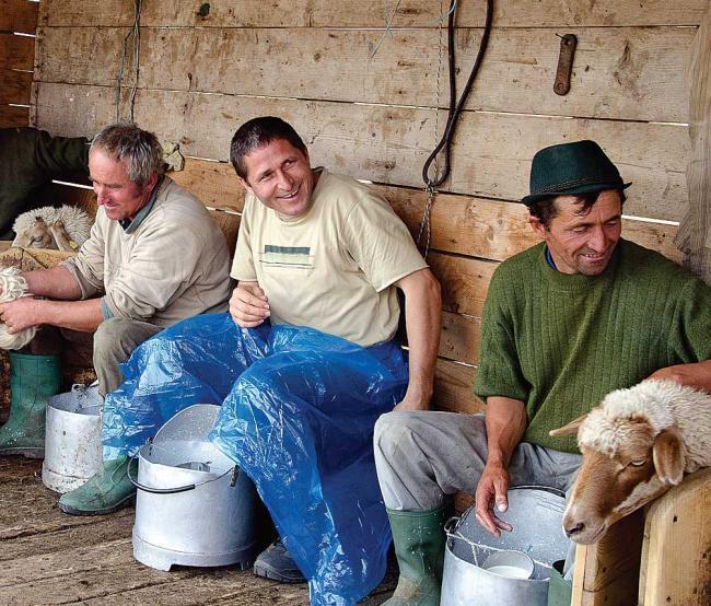 (Ρουμανία) Έκταση: 85.000 ha 5.