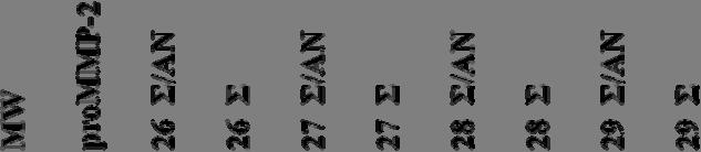 (γ) kda 97.4 66.2 55.0 prommp-9 (92.0 kda) MMP-9 (78 kda) prommp-2 (72.0 kda) MMP-2 (64.0 kda) (δ) kda 97.4 66.2 55.0 prommp-9 (92.0 kda) MMP-9 (78 kda) prommp-2 (72.0 kda) MMP-2 (64.0 kda) Σχήμα 1.