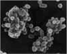 από 0.6-1.5 µm και 0.5-0.7 µm.