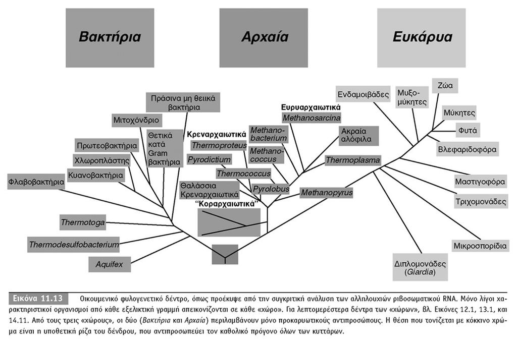 BIOΛOΓIA TΩN MIKPOOPΓANIΣMΩN ΠANEΠIΣTHMIAKEΣ EKΔOΣEIΣ