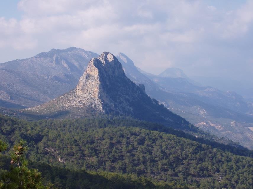 33 από τις 44 κατηγορίες Κάλυψαν ολόκληρη την έκταση της