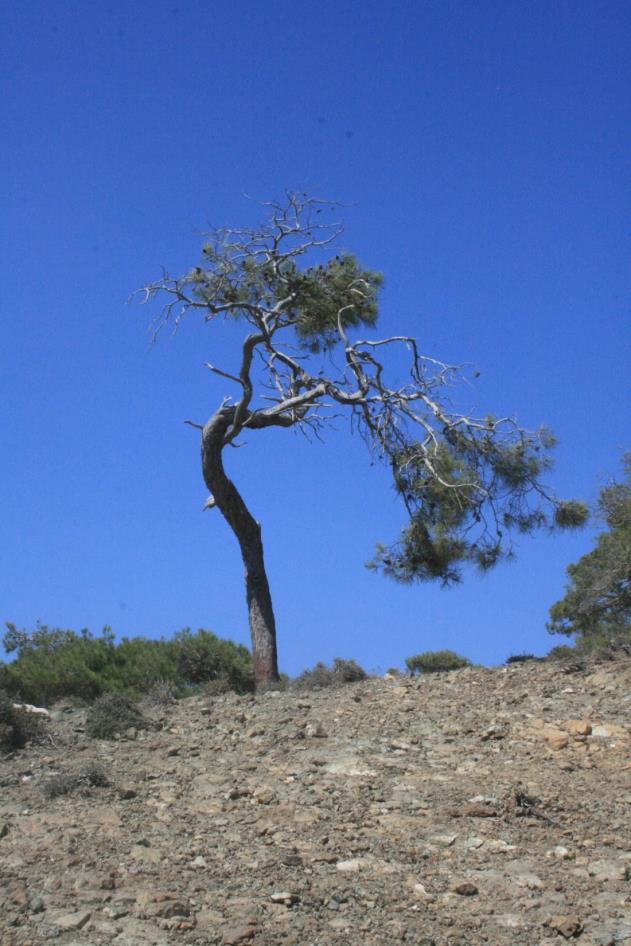 Ευχαριστώ 8/10/2014 Τομέας