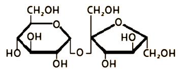 أكتب اسم كل من الجزيئات التالية : قاعدة نيتروجينية جليسيريد ثالثي مجموعة فوسفات السكروز -7.4.2.