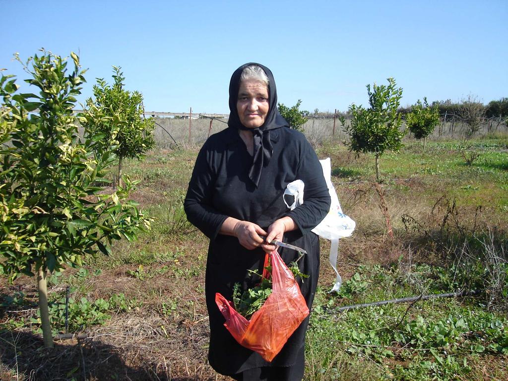 Το µάζεµα των χόρτων από τους αγρούς ήταν φαίνεται δουλειά των γυναικών, όπως συνέβαινε και στα νεότερα χρόνια.