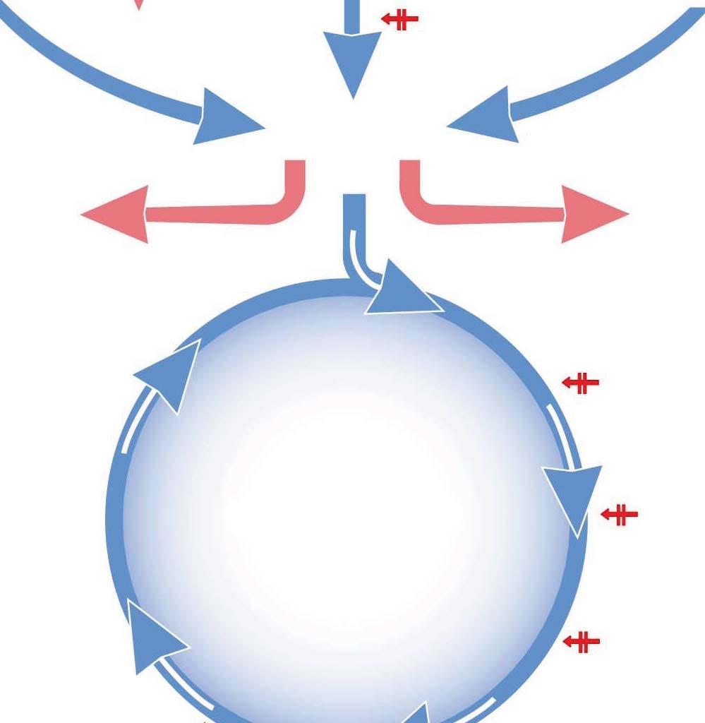 Fats Krebs Cycle At-A-Glance