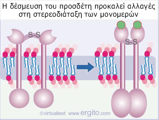 Ανεξάρτητα από τον τρόπο με τον οποίο