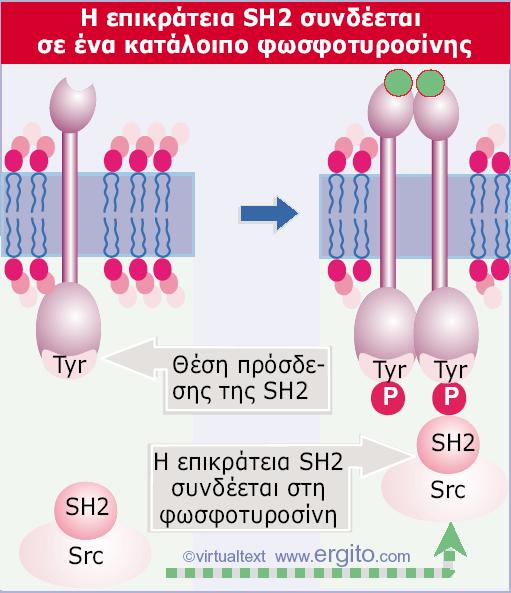 Εικόνα 28.