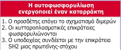 Εικόνα 28.