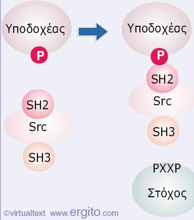 Εικόνα 28.