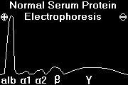 Serum