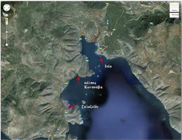 ΥΛΙΚΑ ΚΑΙ ΜΕΘΟΔΟΙ Εικόνα 9. Περιοχή δειγματοληψίας μυδιών, στον Κόλπο Κοντινόβα που εντοπίζεται μεταξύ του Γαλαξιδίου και της Ιτέας (πηγή https://www.google.gr/maps). 2.