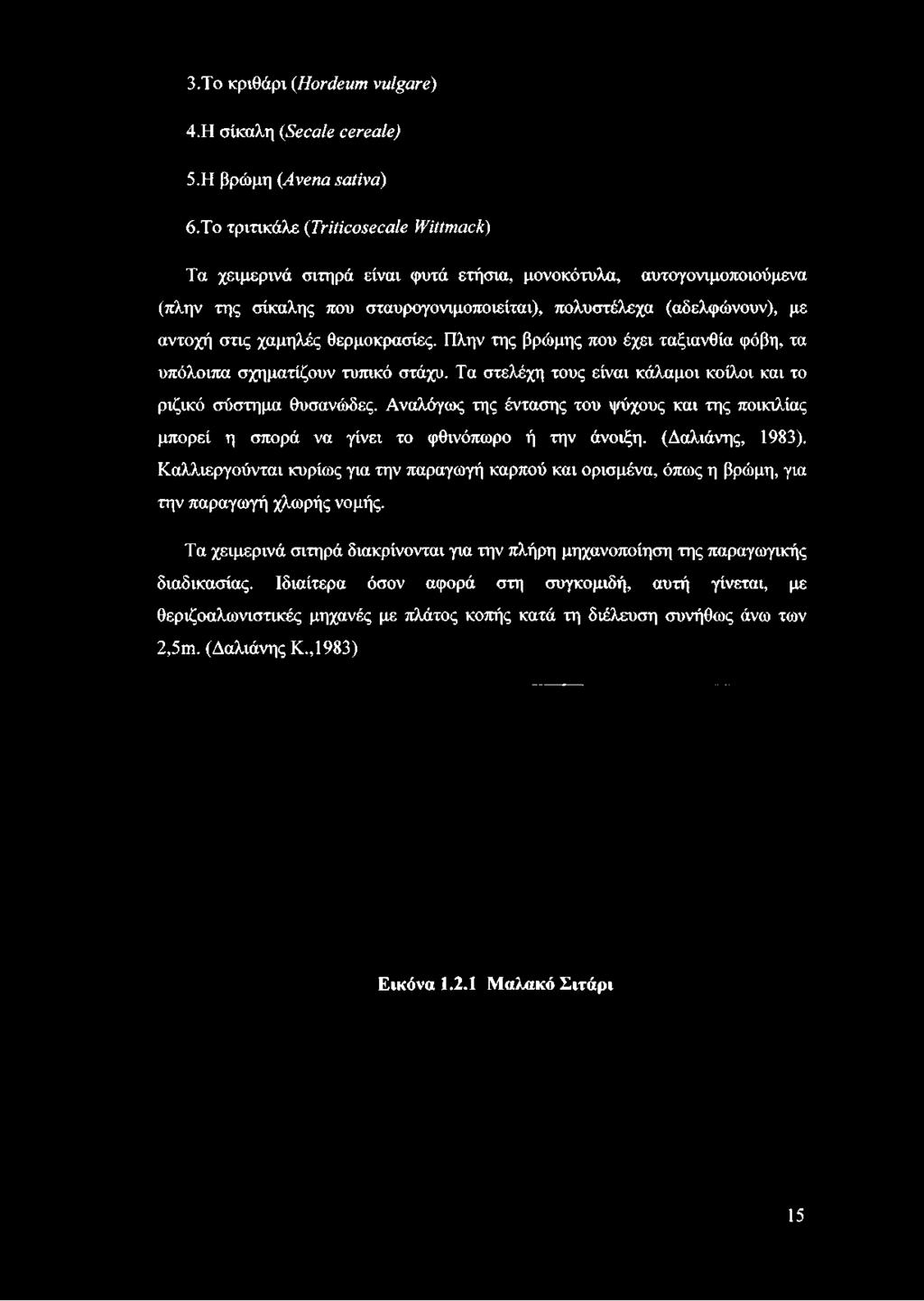 πολυστέλεχα (αδελφώνουν), με αντοχή στις χαμηλές θερμοκρασίες. Πλην της βρώμης που έχει ταξιανθία φόβη, τα υπόλοιπα σχηματίζουν τυπικό στάχυ.