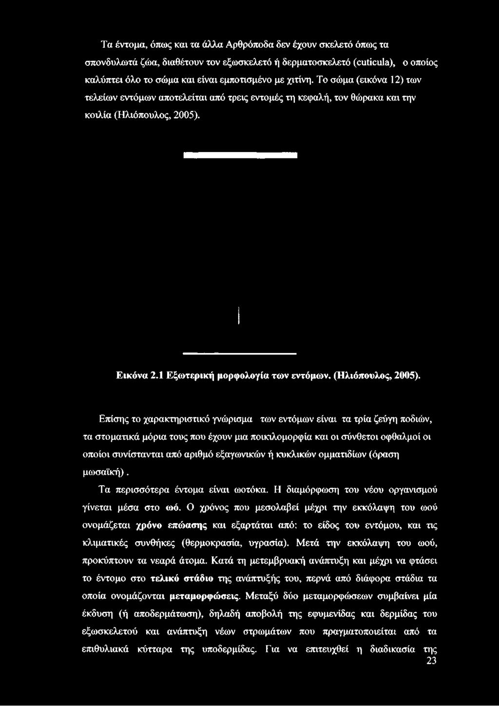 Εικόνα 2.1 Εξωτερική μορφολογία των εντόμων. (Ηλιόπουλος, 2005).