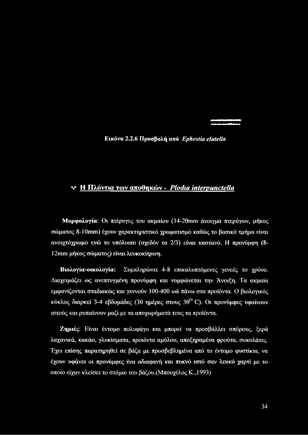 έχουν χαρακτηριστικό χρωματισμό καθώς το βασικό τμήμα είναι ανοιχτόχρωμο ενώ το υπόλοιπο (σχεδόν τα 2/3) είναι καστανό. Η προνύμφη (8-12ηιηι μήκος σώματος) είναι λευκοκίτρινη.