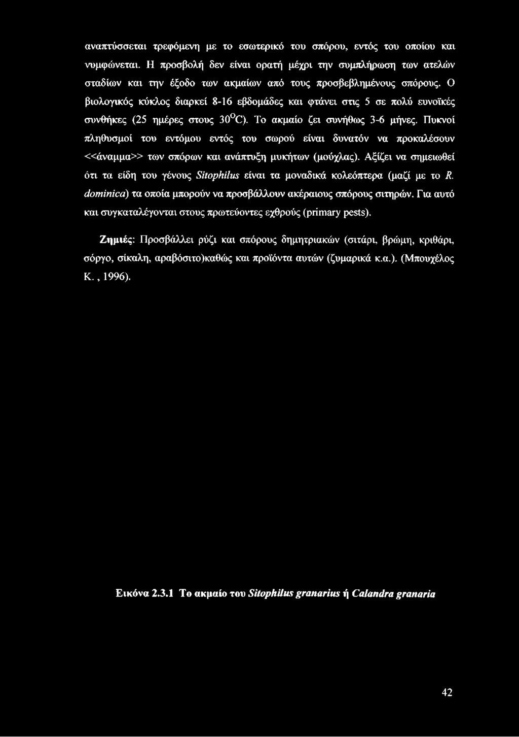 αναπτύσσεται τρεφόμενη με το εσωτερικό του σπόρου, εντός του οποίου και νυμφώνεται.