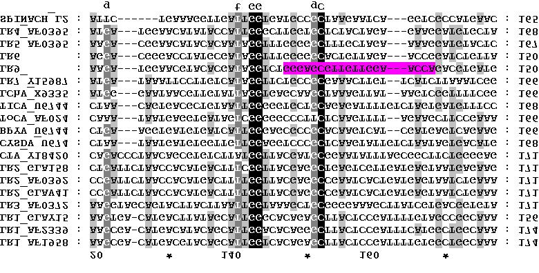 GLRaV-3 (LR3), GLRaV-4 (LR4), GLRaV-5 (LR5), GLRaV-6 (LR6), GLRaV-7 (LR7), LChV-1, CTV, BPYV, CYSDV, TICV και ToCV και του νέου