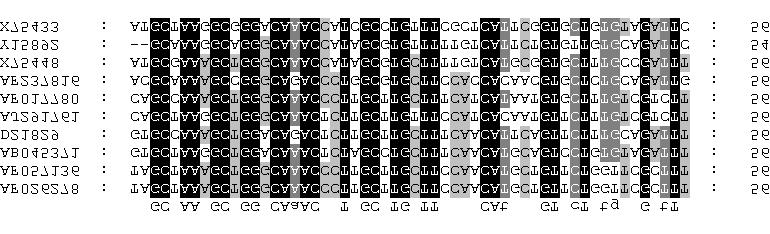 RSPaV-1 ASPV ASPV CGRMV CGRMV CNRMV GVB GVD GVA (RW εστ κ4) 3 -TGNCTIAGICTRATRCTYCGIAA-5 Nested GRSPaV RSPaV-1 ASPV ASPV CGRMV CGRMV CNRMV GVB GVD GVA (RW κ 1) 3 -TACKCIAARWSICCICTYMR-5