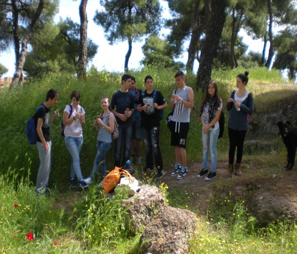 Τι είναι δάσος; Δάσος είναι κάθε έκταση που καλύπτεται από δένδρα, τα