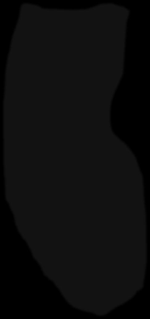 InhibiOon of ActR- IIA (ACE011): SOmulates New Bone FormaOon.