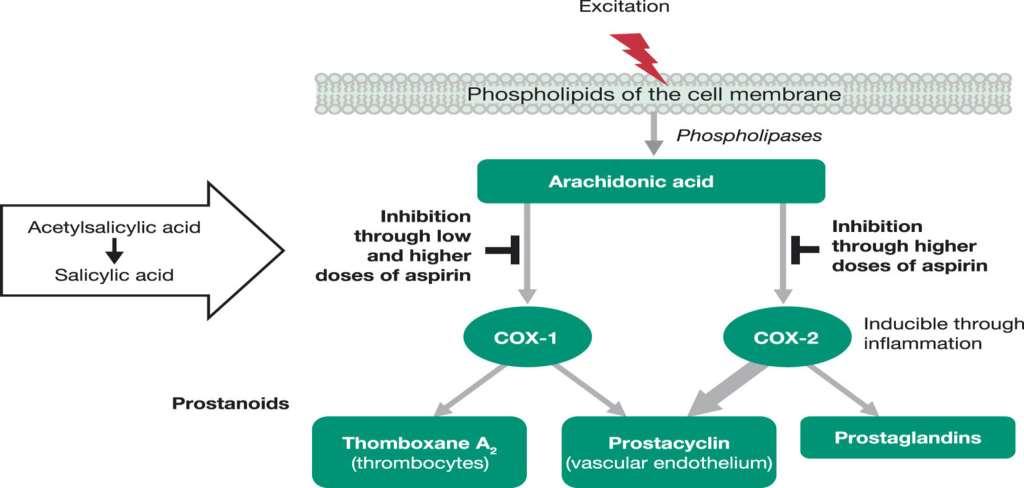 Μηχανισμός δράσης ασπιρίνης COX, cyclooxygenase.